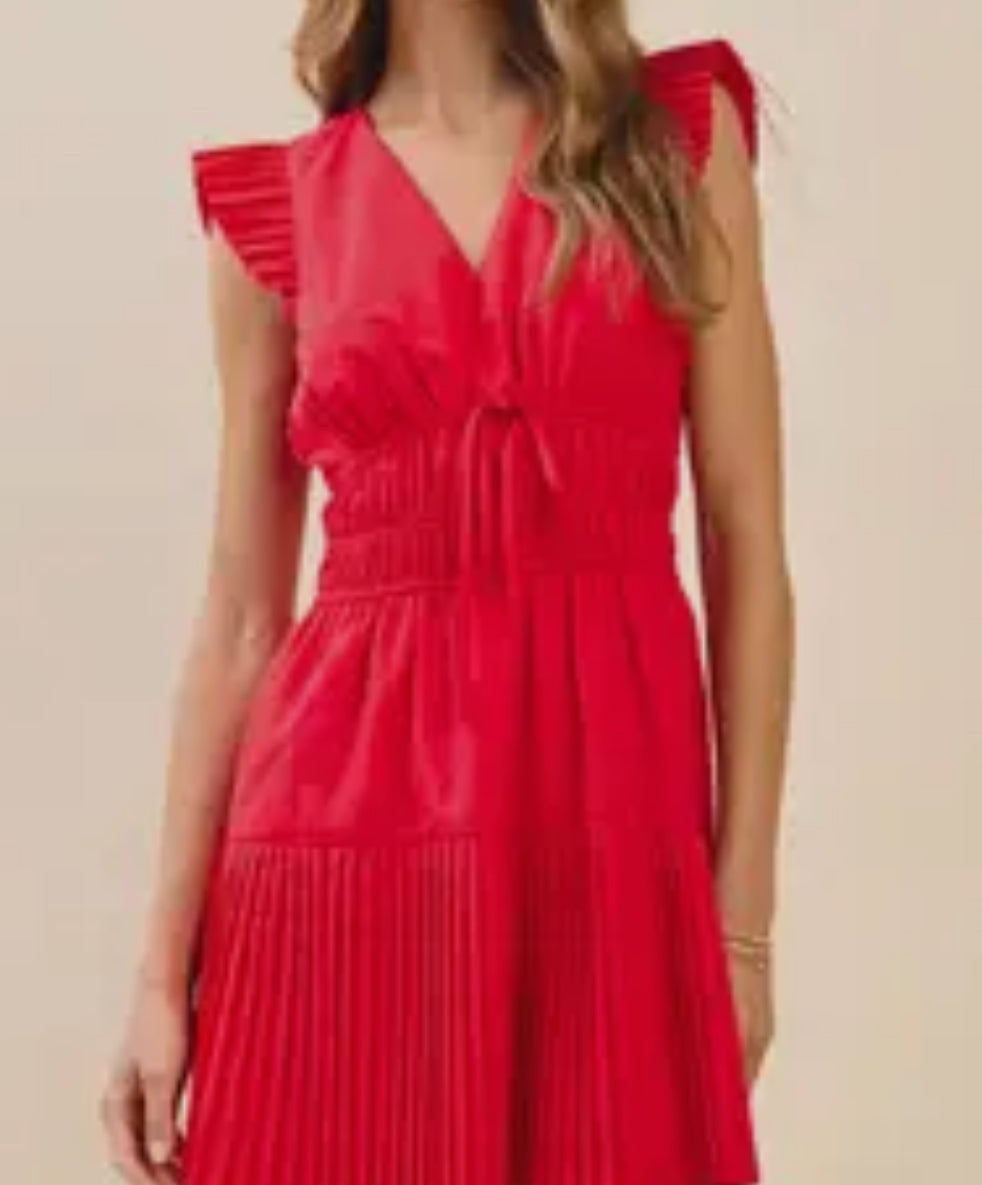 Renee Pleated Dress