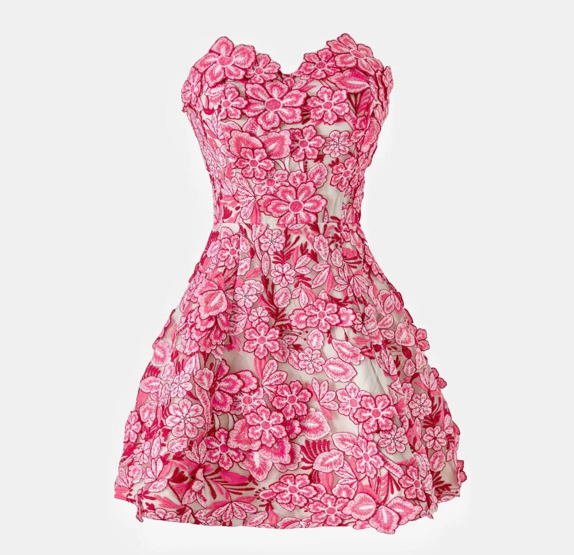 Elizabeth Embroidered Strapless Mini in Pink