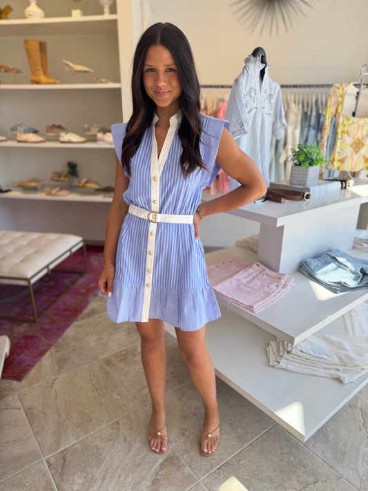 JS71 Sarabella Dress in Blue White Stripe