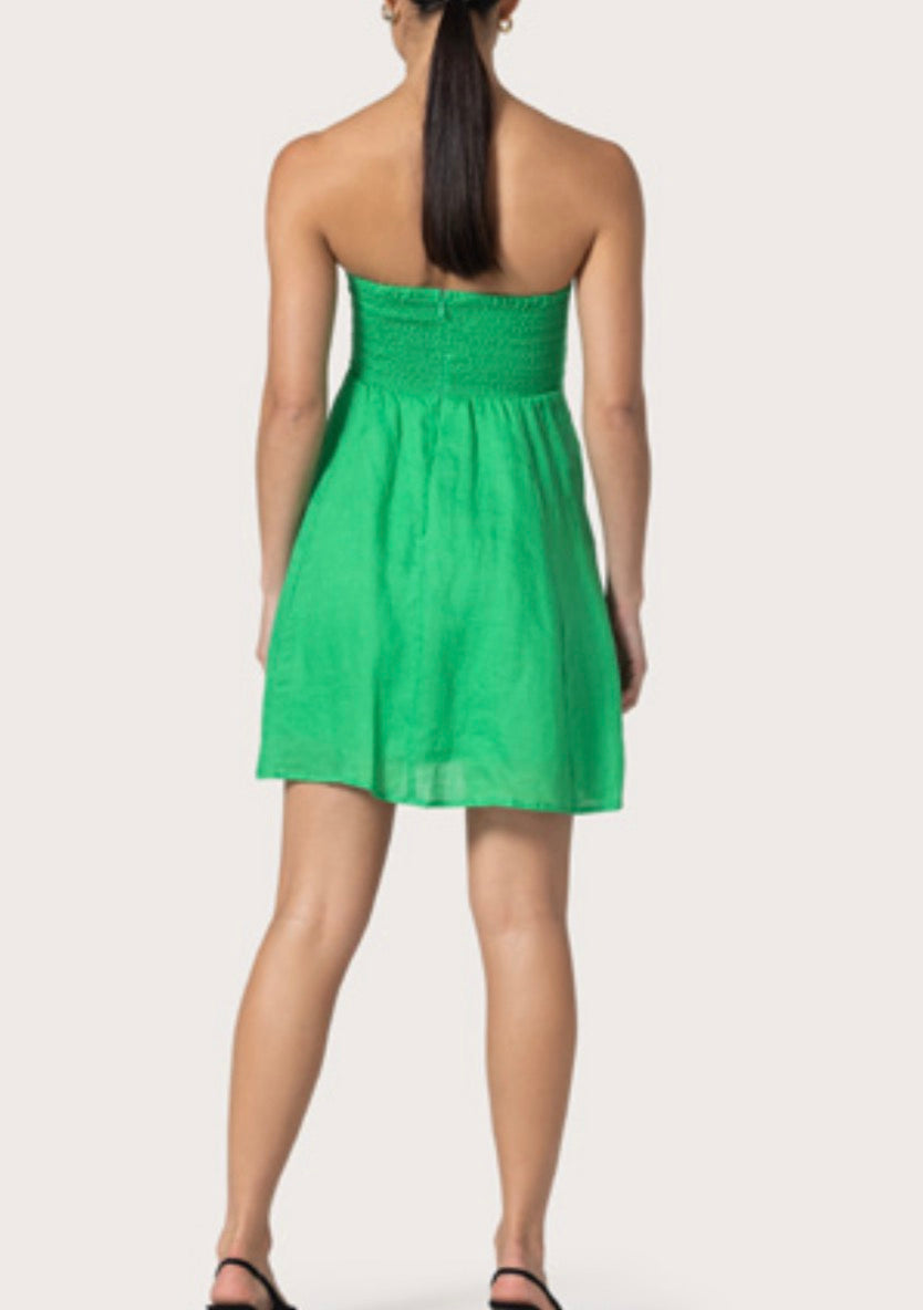 Lusana Talia Linen Mini Dress in Kelly Green