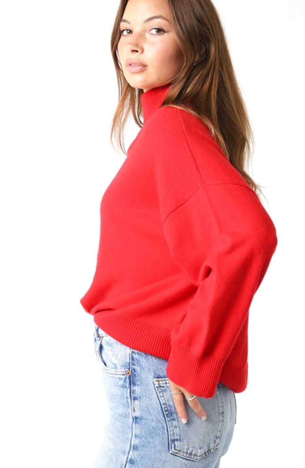 Brooke Turtleneck Sweater