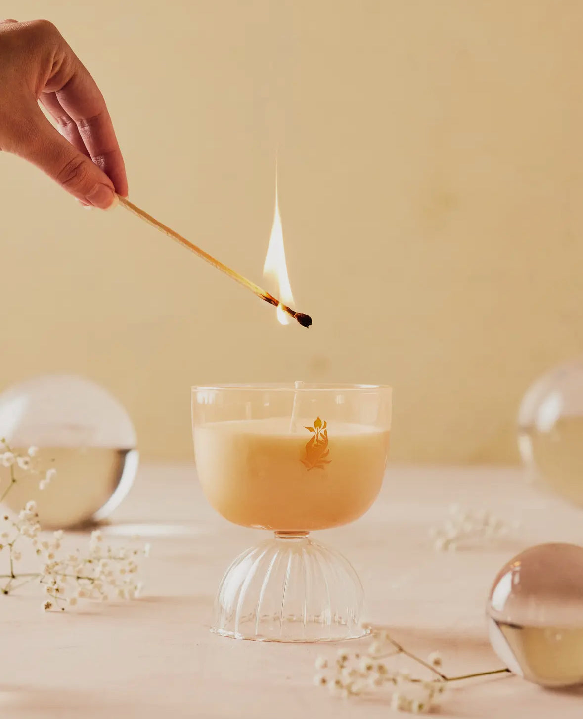 Rewined Coupe Rosé Candle 7 Oz