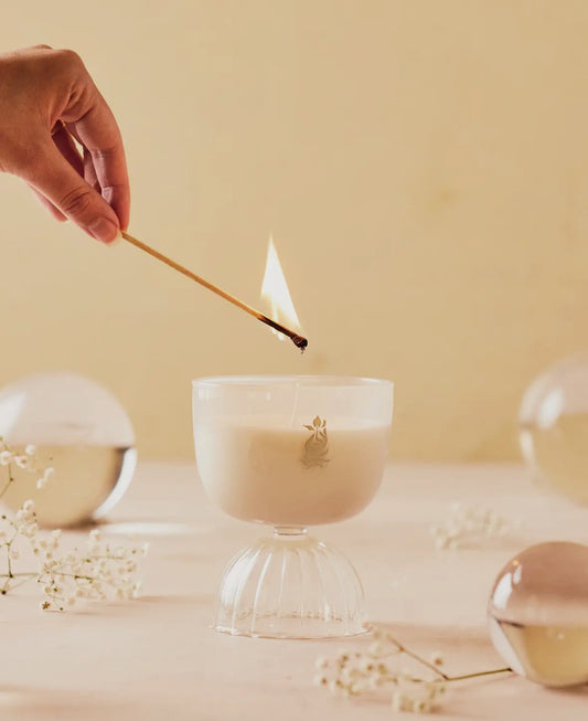 Rewined Coupe Prosecco Candle 7 Oz