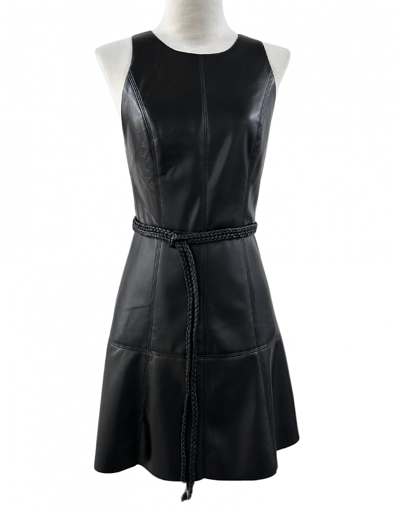 Reset Leather Mini Dress