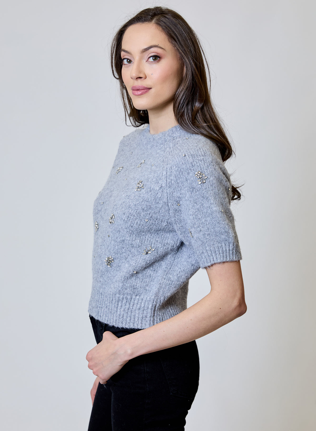 Design History Emb Short Sleeve Sweater in Silver Mist