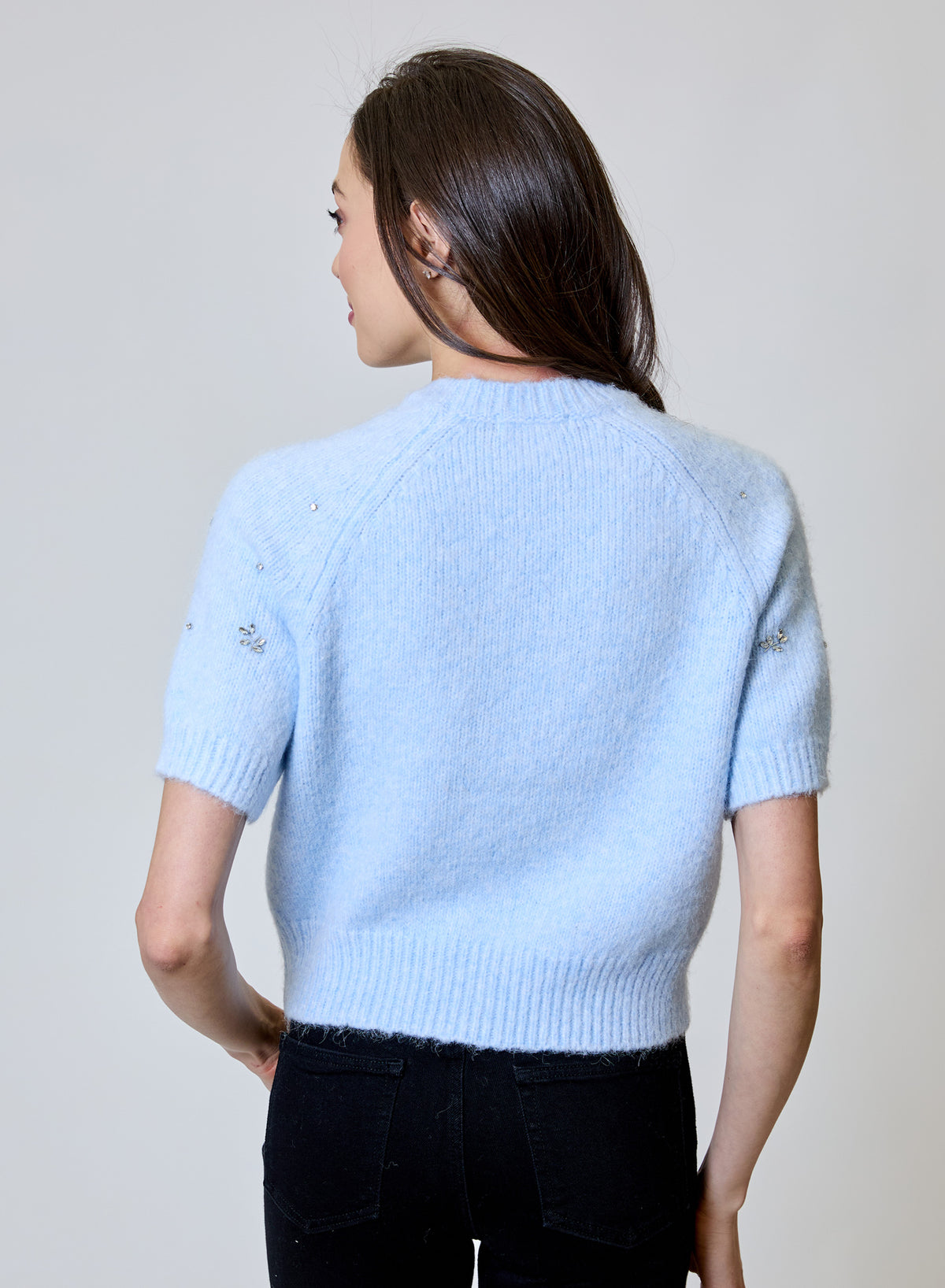 Design History Emb Short Sleeve Sweater in Frost Bite