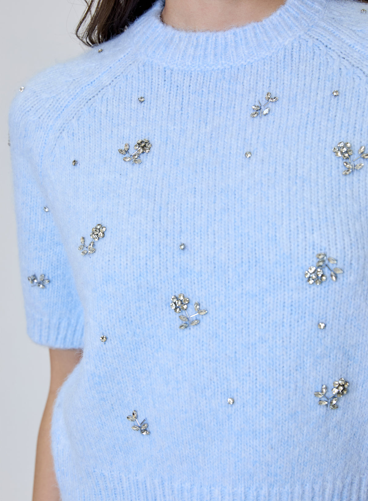 Design History Emb Short Sleeve Sweater in Frost Bite