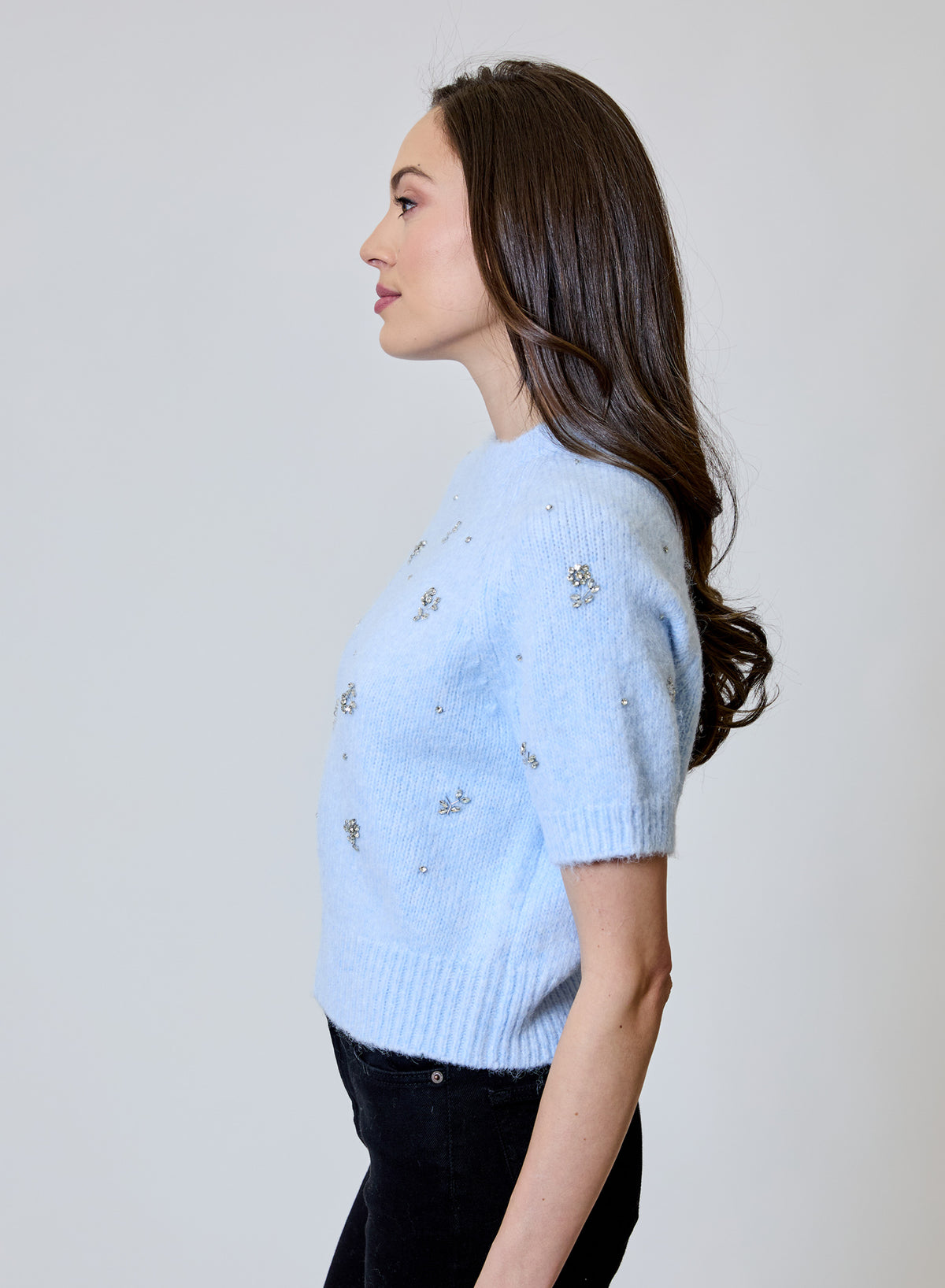 Design History Emb Short Sleeve Sweater in Frost Bite