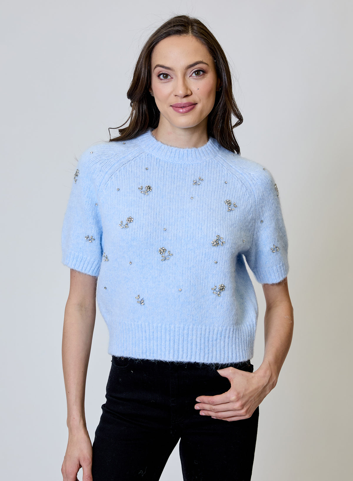 Design History Emb Short Sleeve Sweater in Frost Bite